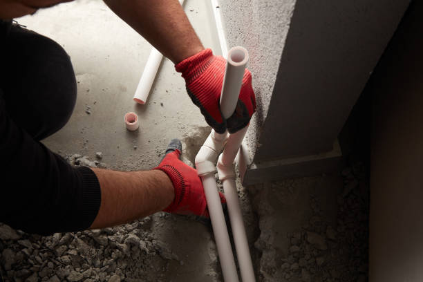 Best Local Plumber Services  in Fremont, IN