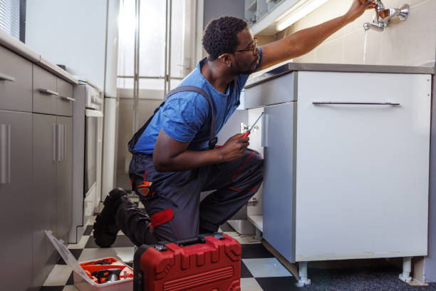 Best Plumbing Inspection Services  in Fremont, IN