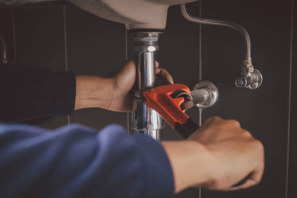 Best Plumbing Services Near Me  in Fremont, IN